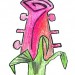 Guitar Rose