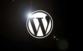 Top 5 Portfolio WordPress Themes for Artists
